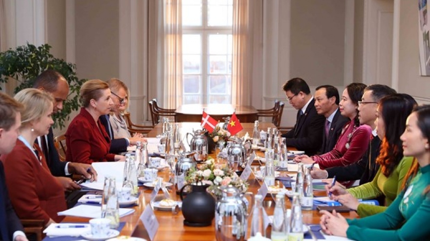 Vietnam, Denmark outlines orientations for deepening all-around partnership